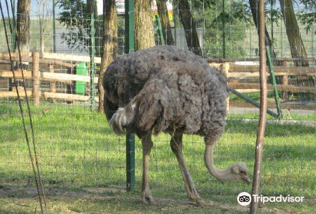 Zoo Ramnicu Valcea