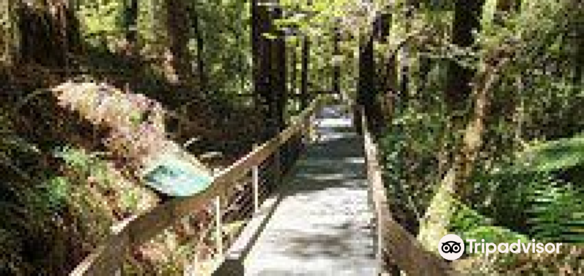 Warburton 2023 Top Things to Do Warburton Travel Guides Top