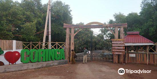 Coringa Wildlife Sanctuary attraction reviews - Coringa Wildlife Sanctuary tickets - Coringa Wildlife Sanctuary discounts - Coringa Wildlife Sanctuary transportation, address, opening hours - attractions, hotels, and food near Coringa Wildlife ... Coringa Wildlife Sanctuary attraction reviews - Coringa Wildlife Sanctuary tickets - Coringa Wildlife Sanctuary discounts - Coringa Wildlife Sanctuary transportation, address, opening hours - attractions, hotels, and food near Coringa Wildlife ...