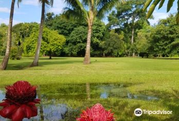 Tahiti Botanical Garden Popular Attractions Photos