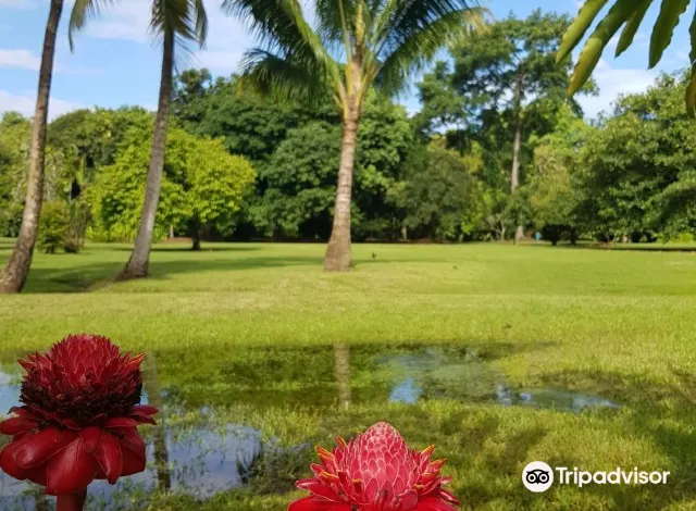 Tahiti Botanical Garden1