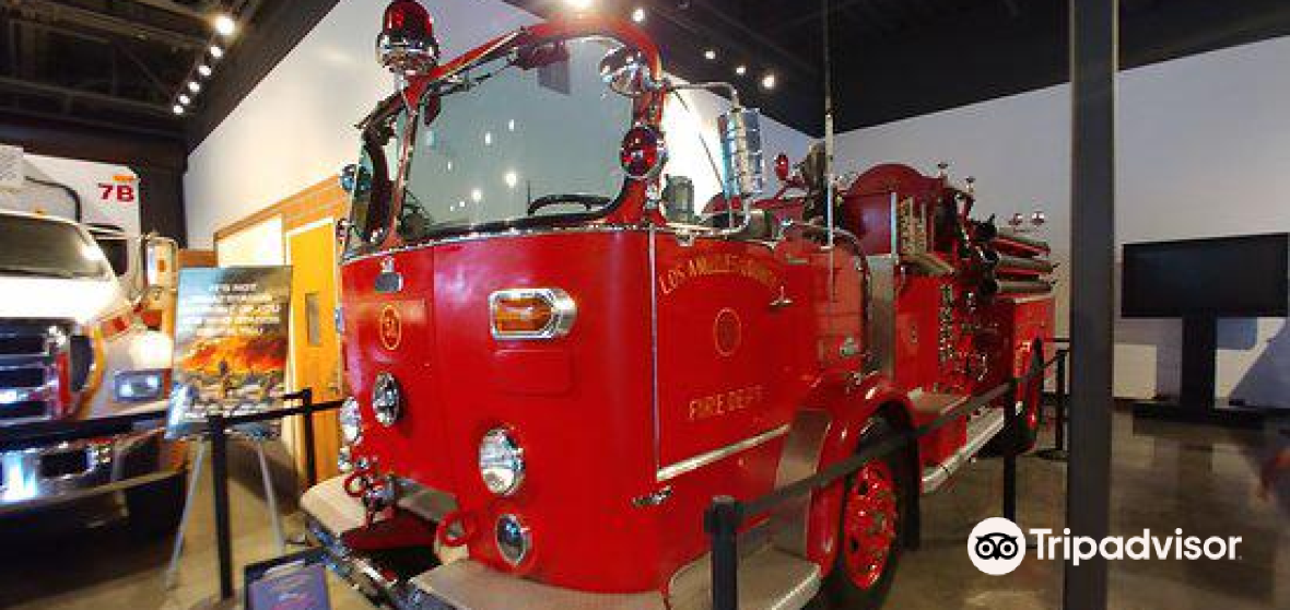 Bellflower 2023 Top Things to Do Bellflower Travel Guides Top