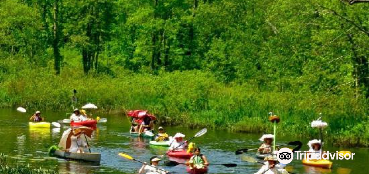 10 Best Things to do in Litchfield County, Connecticut Litchfield
