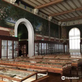 馬賽自然歷史博物館