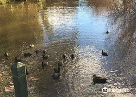 Wombat Flat Mineral Spring Attraction Reviews Wombat Flat Mineral Spring Tickets Wombat Flat Mineral Spring Discounts Wombat Flat Mineral Spring Transportation Address Opening Hours Attractions Hotels And Food