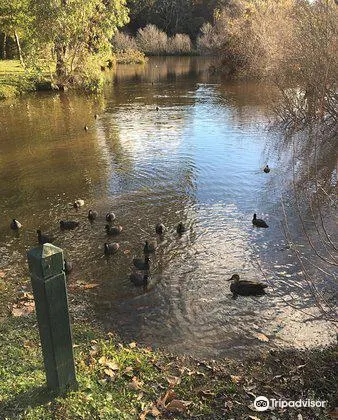 Wombat Flat Mineral Spring Attraction Reviews Wombat Flat Mineral Spring Tickets Wombat Flat Mineral Spring Discounts Wombat Flat Mineral Spring Transportation Address Opening Hours Attractions Hotels And Food