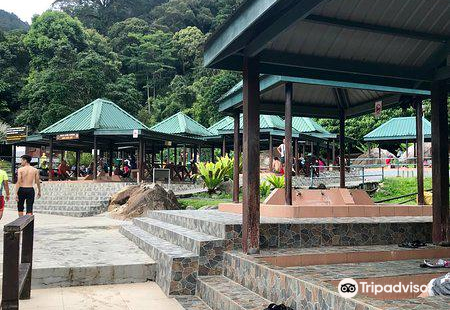 Mount Kinabalu Botanical Garden