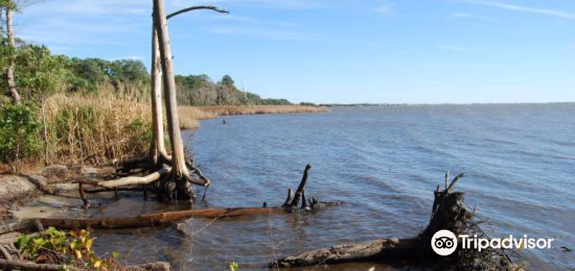 10 Best Things to do in Kill Devil Hills, Dare County Kill Devil