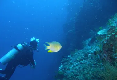 Bali Reef Divers 熱門景點照片