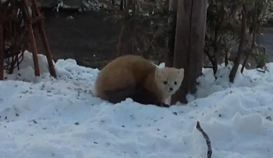 22標津郡自由行 標津郡旅遊攻略 熱門推薦標津郡景點門票 飯店與必吃美食 Trip Com
