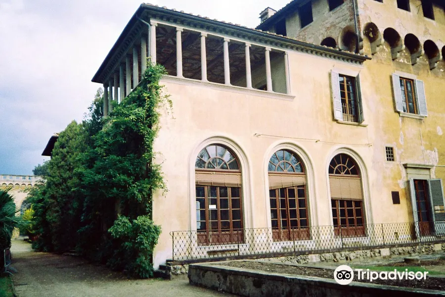 Florentine Neoplatonic Academy (Villa Medicea di Careggi)3