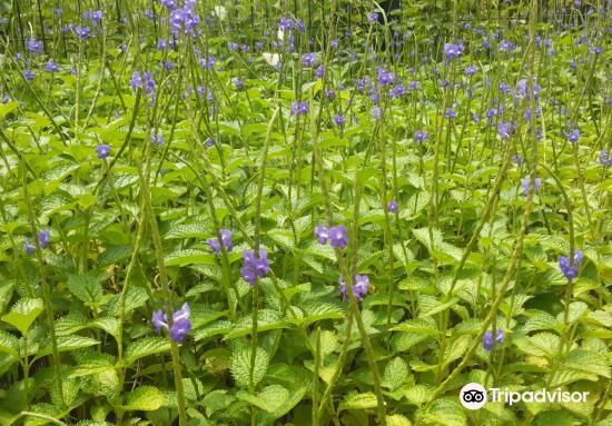 Parc National Du Mali Bamako Travel Guidebook Must Visit Attractions In Bamako Parc National Du Mali Bamako Nearby Recommendation Trip Com