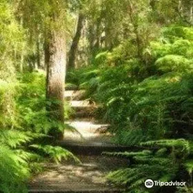 Kings Waterfall