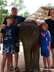 Elephant Retirement Park Phuket