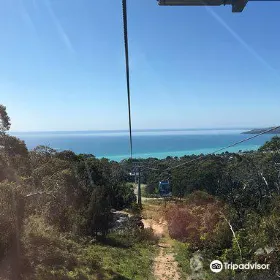 Arthurs Seat State Park