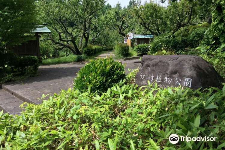 小田原 辻村植物公園 評判 案内 トリップドットコム